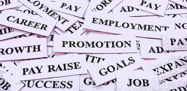 The Art and Science of Compensation&nbsp;Benchmarking